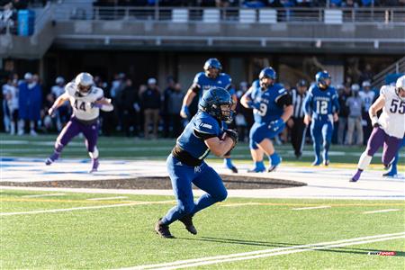 U SPORTS Uteck Bowl - Carabins (29) vs (3) Mustangs - Reel Game