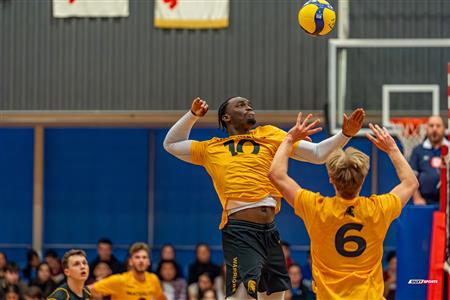 Volleyball - Carabins vs Warriors - Hors Championnat 