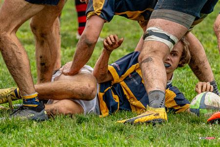 RUGBY QC 2023 (M1) - TMR RFC (14) vs (15) Beaconsfield RFC