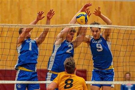 Volleyball - Carabins vs Warriors - Hors Championnat 