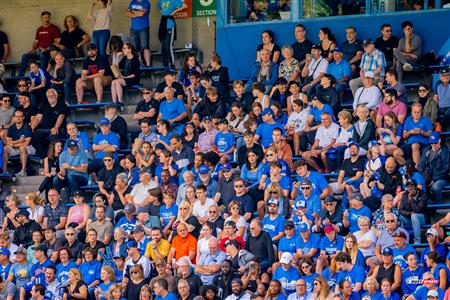 RSEQ Football Universitaire - Carabins-UdM (43) vs (11) Redbirds-McGill - Cheerleading - Crowd - Hal