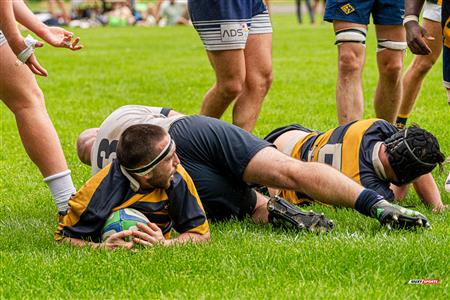 Rugby Québec (M1) - SABRFC (14) vs (24) Town of Mount Royal