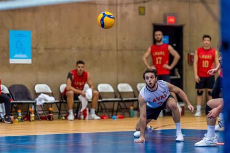 RSEQ - 2023 VOLLEY M - UNIVERSITÉ DE MONTRÉAL (3) VS (0) UNIVERSITÉ LAVAL