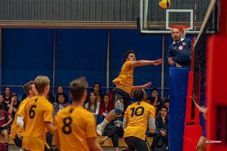 Volleyball - Carabins vs Warriors - Hors Championnat 