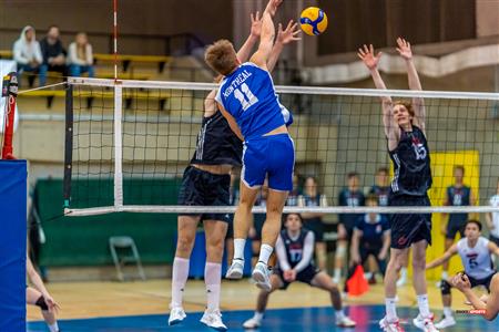 RSEQ - 2023 Volley M - Université de Montréal (3) vs (1) University of New Brunswick
