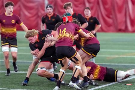 Tournoi Concordia 2023 Tournament  - Stingers vs Gryphons - Game 1
