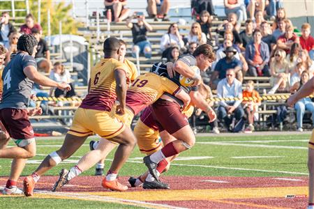 RSEQ 2023 RUGBY M - Concordia Stingers (40) VS (31) Ottawa Gee Gees - 2nd Half