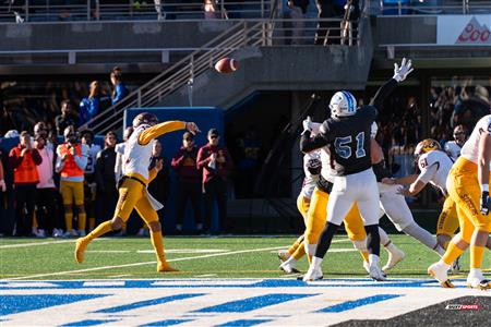 RSEQ - 2023 Football - Université de Montréal (14) vs (16) Concordia University