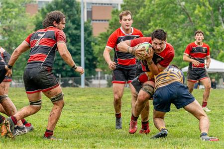 RUGBY QC 2023 (M1) - TMR RFC (14) vs (15) Beaconsfield RFC