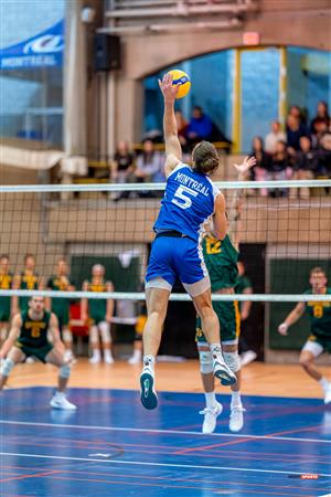 RSEQ - 2023 Volley M - Université de Montréal (1) vs (3) Université de Sherbrooke