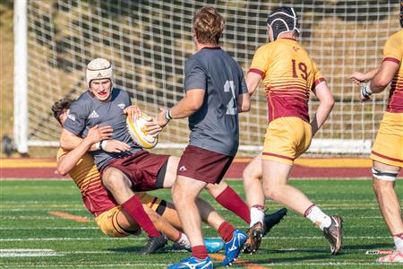 RSEQ 2023 RUGBY M - Concordia Stingers (40) VS (31) Ottawa Gee Gees - 2nd Half