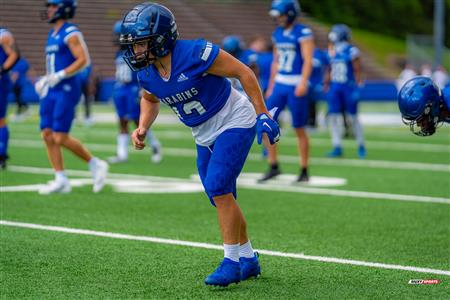 RSEQ Football Universitaire - Carabins-UdM (43) vs (11) Redbirds-McGill - Avant Match