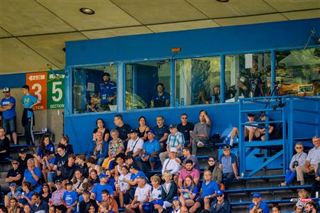 RSEQ Football Universitaire - Carabins-UdM (43) vs (11) Redbirds-McGill - Cheerleading - Crowd - Hal