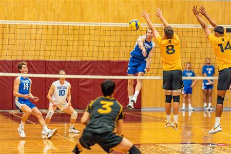 Volleyball - Carabins vs Warriors - Hors Championnat 