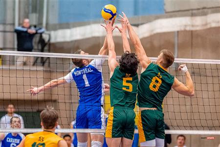 RSEQ - 2023 Volley M - Université de Montréal (1) vs (3) Université de Sherbrooke