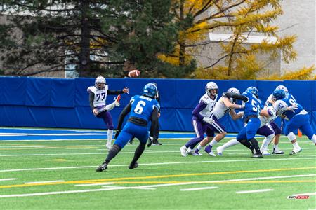 U SPORTS Uteck Bowl - Carabins (29) vs (3) Mustangs - Reel Game