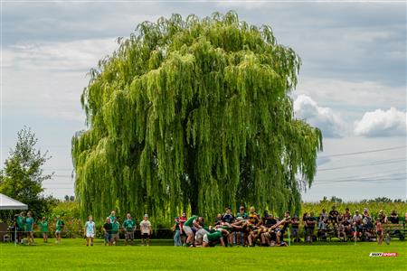 Rugby Québec - Montreal Irish (5) vs (43) TMR RFC - Semi Finales M1 - 1er mi-temps