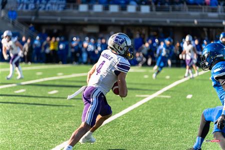 U SPORTS Uteck Bowl - Carabins (29) vs (3) Mustangs - Reel Game