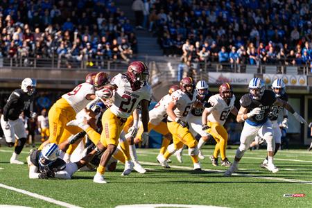 RSEQ - 2023 Football - Université de Montréal (14) vs (16) Concordia University