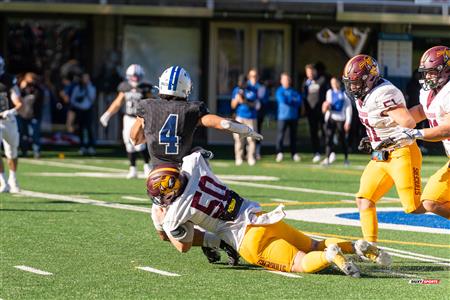 RSEQ - 2023 Football - Université de Montréal (14) vs (16) Concordia University