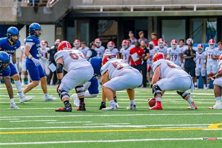 RSEQ Football Universitaire - Carabins-UdM (43) vs (11) Redbirds-McGill - 2eme mi-temps