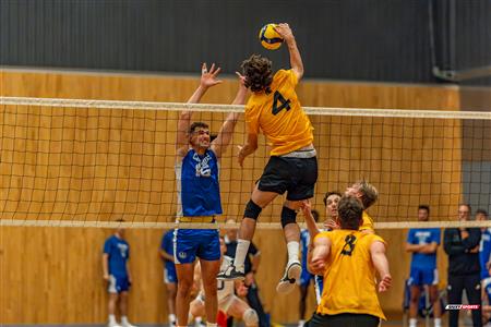 Volleyball - Carabins vs Warriors - Hors Championnat 