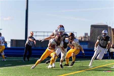 RSEQ - 2023 Football - Université de Montréal (14) vs (16) Concordia University