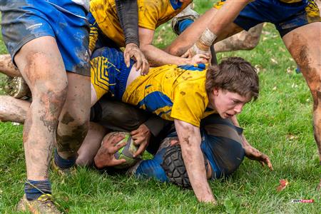 RSEQ - 2023 RUGBY M - DAWSON (0) VS (30) JOHN ABBOTT